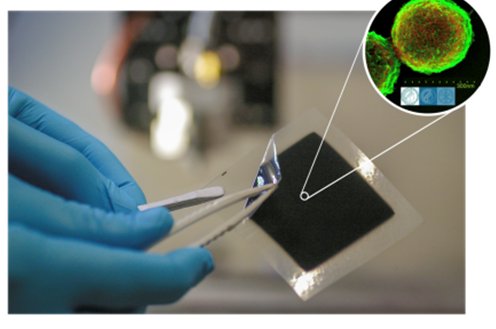 eine Membran-Elektroden-Einheit (MEA) die mit hilfe von zwei Pinzetten auseinandergebaut wird, stilistisch wird in einem Ausschnitt die Molekülstruktur vergrößert dargestellt