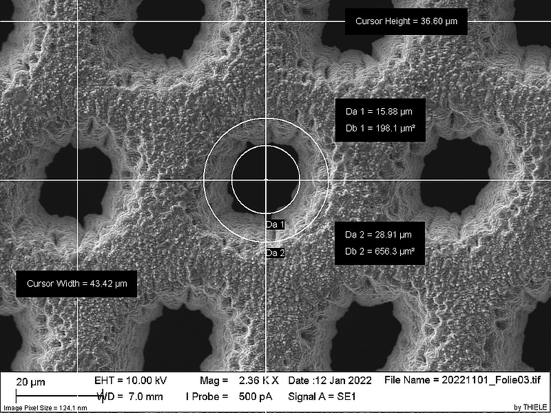 REM-Aufnahme einer PTL aus UKP-Laserfertigung in Flüssigkeiten (25 µm Dicke)